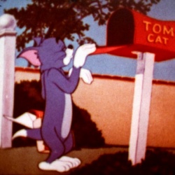 Séance Tom et Jerry 2