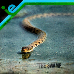 Nature and Ecology "The Swamp"