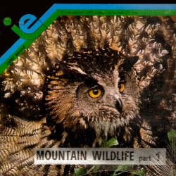 Nature and Ecology "Mountain Wildlife" part 1