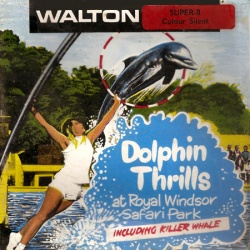 Dauphins à Royal Windsor Safari Park "Dolphin Thrills"