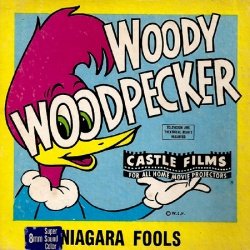 Woody Woodpecker "Niagara Fools"