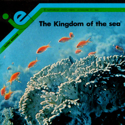 The Kingdom of the Sea "Shark"