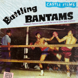 Boxe Thaï Combat des Poids-Plume "Battling Bantams"