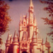 The Magic Kingdom at ... Walt Disney World