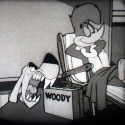 Woody Woodpecker "Stowaway Woody"
