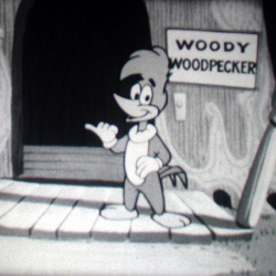 Woody Woodpecker "Woody a de grandes Dents"