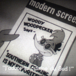 Woody Woodpecker "Woody's Kook-Out"