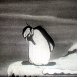Histoire de Pingouins