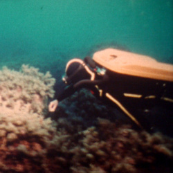 L'Odyssée sous-marine de l'équipe Cousteau "À la recherche de l'Atlantide II"