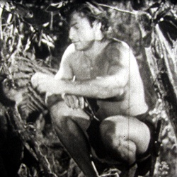 Tarzan, Défenseur de la Jungle