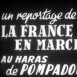 La France en Marche "Crinières au Vent"