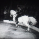 Les Jeux du Cirque "Centaures et Pastiche"