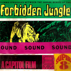 Forbidden Jungle