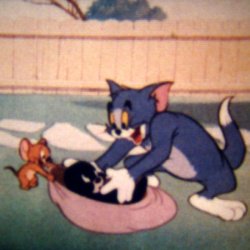 Festival Tom et Jerry