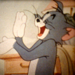 Tom et Jerry "Le petit Phoque"