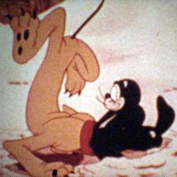 Pluto et le petit Phoque