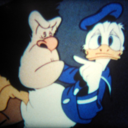 Donald et le Gorille