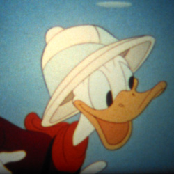 Donald dans les Andes