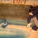 Festival Tom et Jerry