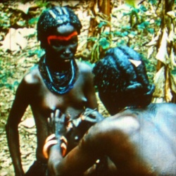 Congo, Splendeur sauvage