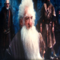 The Hobbit : The Desolation of Smaug