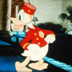 Bellboy Donald