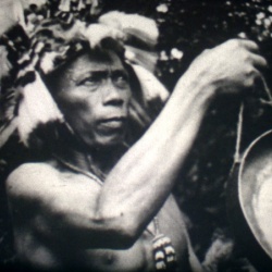 Les Dayaks, Chasseurs de Têtes