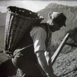 Travaux agricoles dans certaines hautes Montagnes