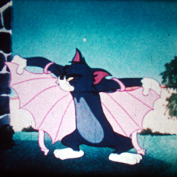 Tom & Jerry "The Flying Cat"