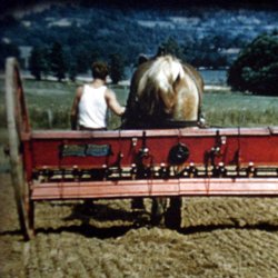 Nourrir les Animaux de la Ferme