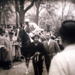 Les Chevaux du Dimanche