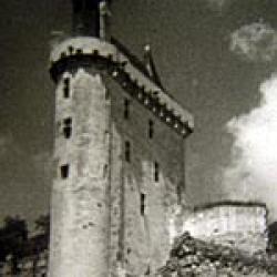 Chateaux de la Loire au Moyen-âge