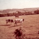 Problèmes bourguignons