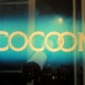 Cocoon