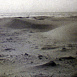 Dunes et Végétation