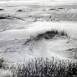 Dunes et Végétation