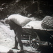 Travaux agricoles dans certaines hautes Montagnes