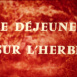 Déjeuner sur l'Herbe (Le)